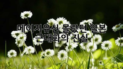 메이지유신: 몰랐던 일본 근대화의 진실