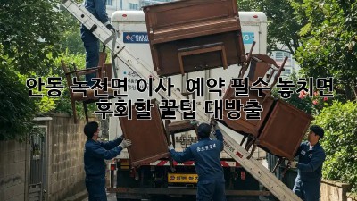 안동 녹전면 이사 🏡 예약 필수! 놓치면 후회할 꿀팁 대방출 ✨