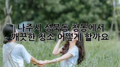 나주시 성북동 청동에서 깨끗한 청소, 어떻게 할까요?